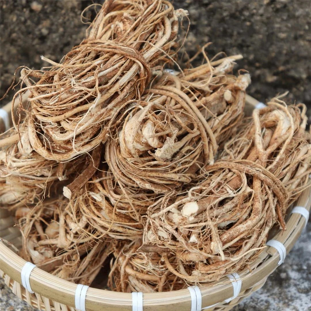 五指毛桃可配土茯苓自然晒干煲汤煮百合干