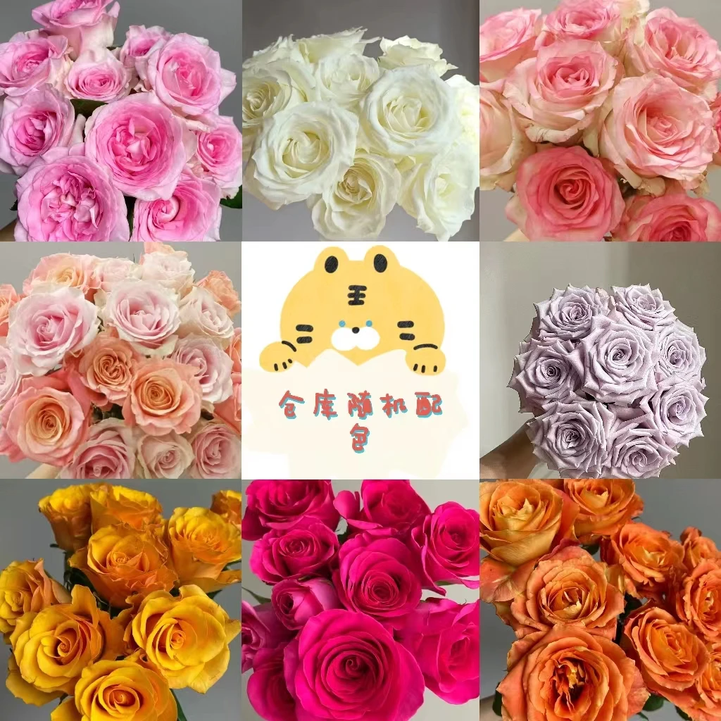 开播云南鲜花玫瑰王炸套餐 拍2单发京东或德邦或顺丰