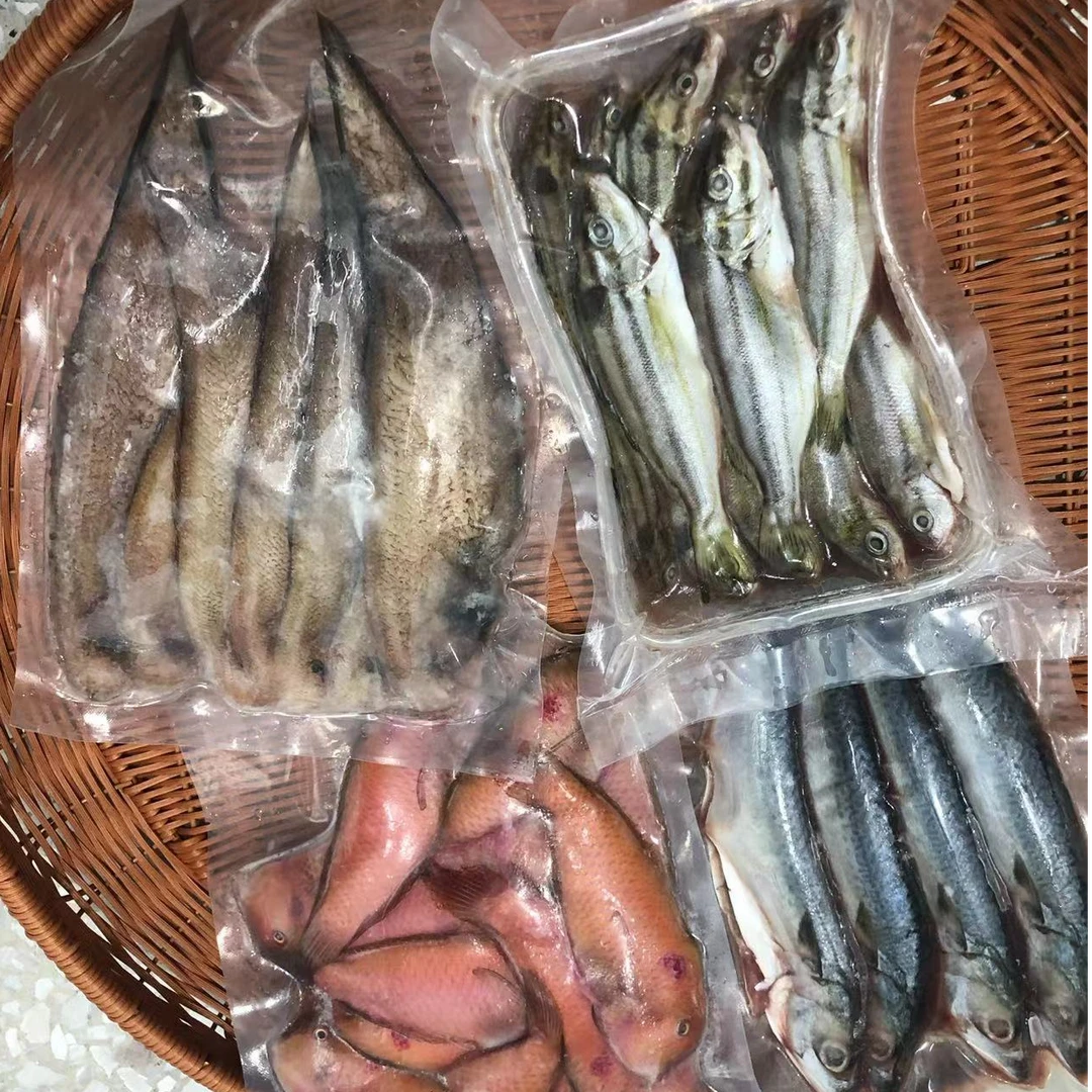 浅海鱼类组合套餐90