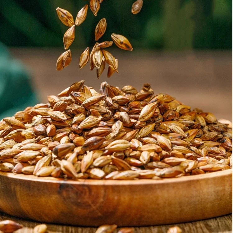 官方庄【吴兄推荐专享】炒麦茶 散装农产品