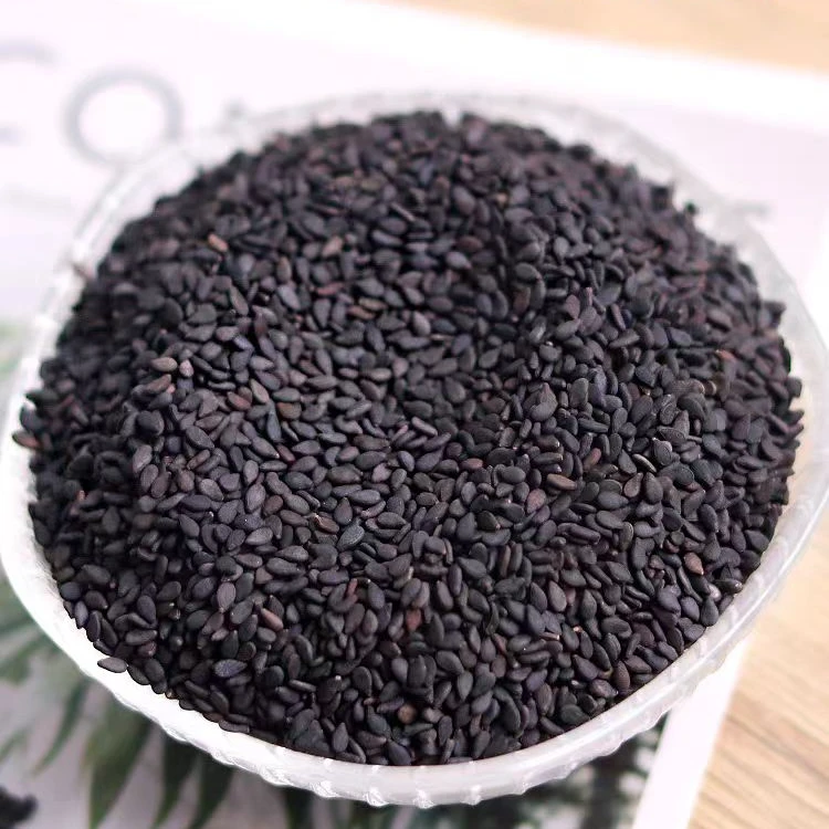 官方庄泡茶煮水泡水黑芝麻