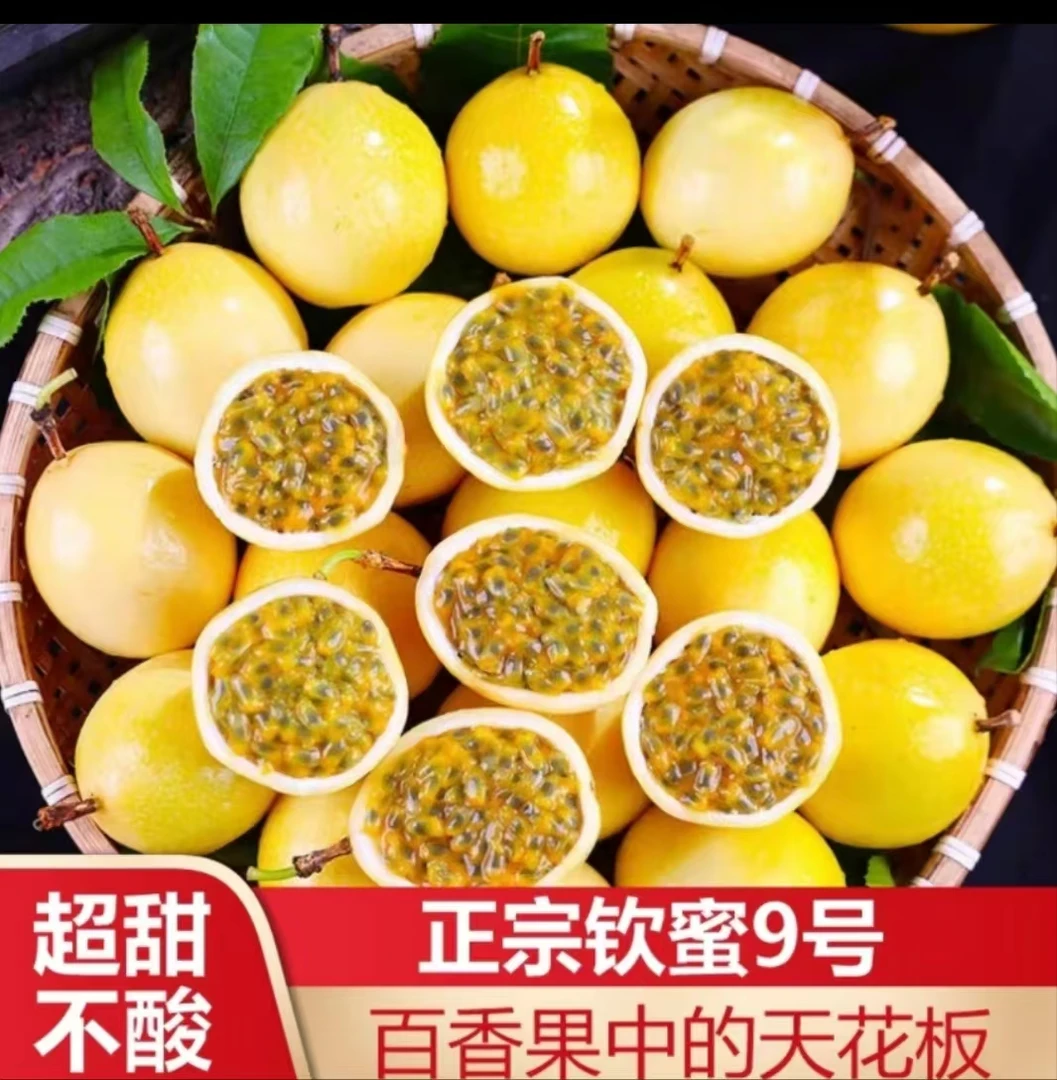 【12个果】广西钦蜜九号黄金百香果新鲜现摘现发甜多汁
