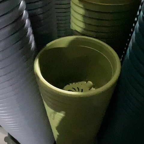 树脂四季4号军绿无托5个