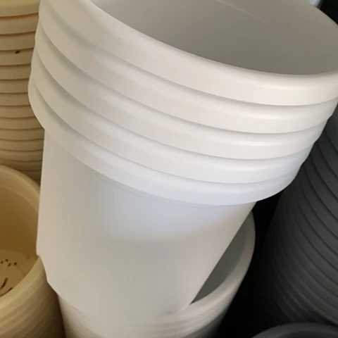 树脂300CM及以上四季5号5个无托白