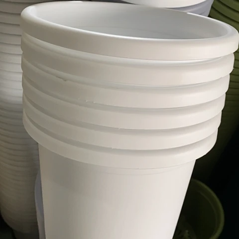 树脂300CM及以上四季4号6个无托白