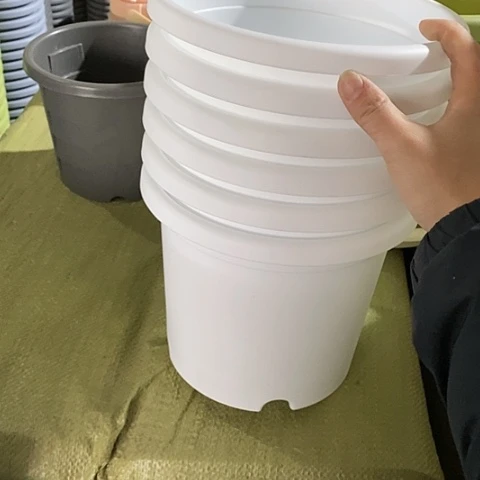 树脂300CM及以上四季3号6个无托白