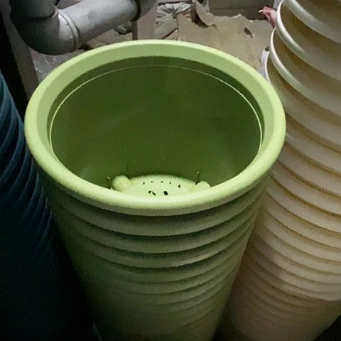 树脂300CM及以上四季6号果绿无托5个