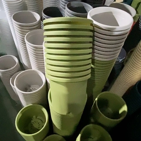 树脂四季2号12个无托果绿