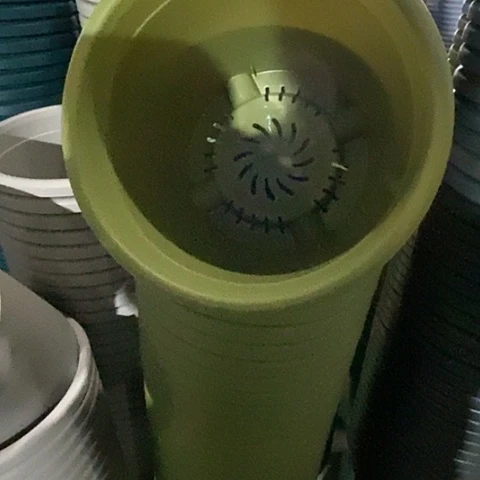 树脂300CM及以上四季5号果绿无托5个