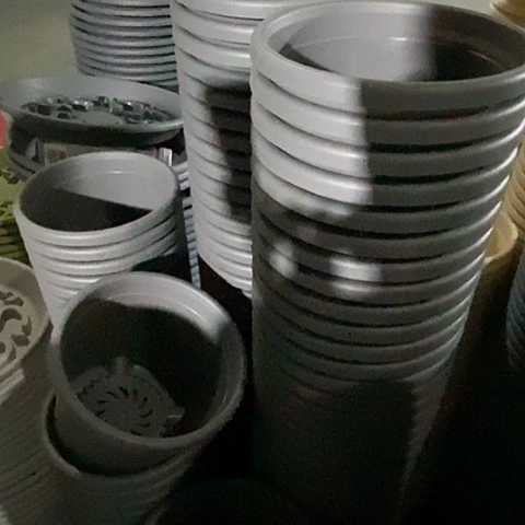 树脂300CM及以上四季2号灰黑无托12个