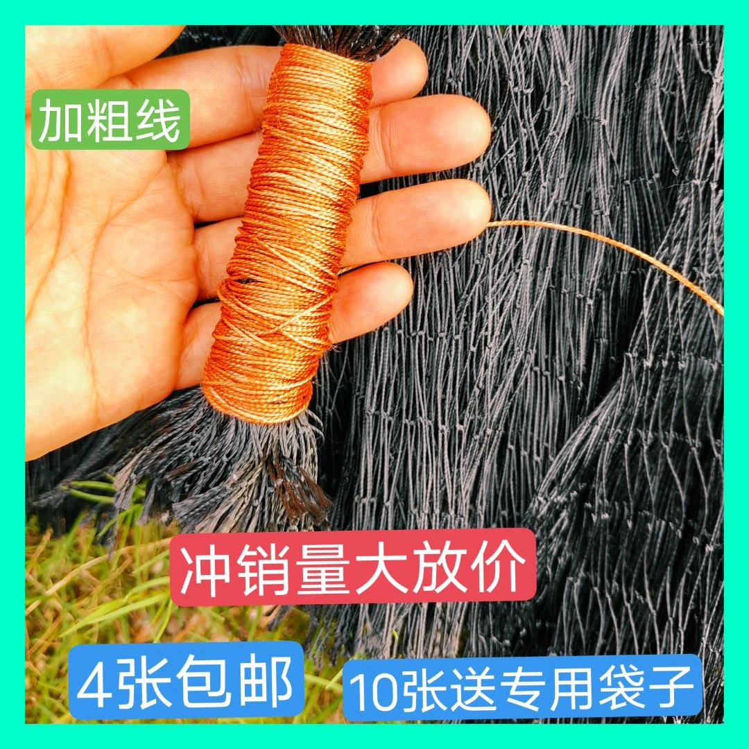 4件包邮加粗尼龙网防虫网防蛇网护栏黑色尼龙网双节死扣不滑结黑