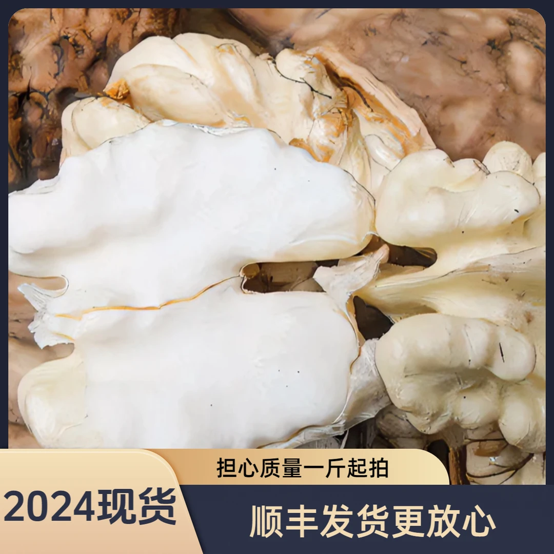 【2025新鲜核桃】四川凉山老树去青皮湿核桃5斤孕妇宝宝当季水果