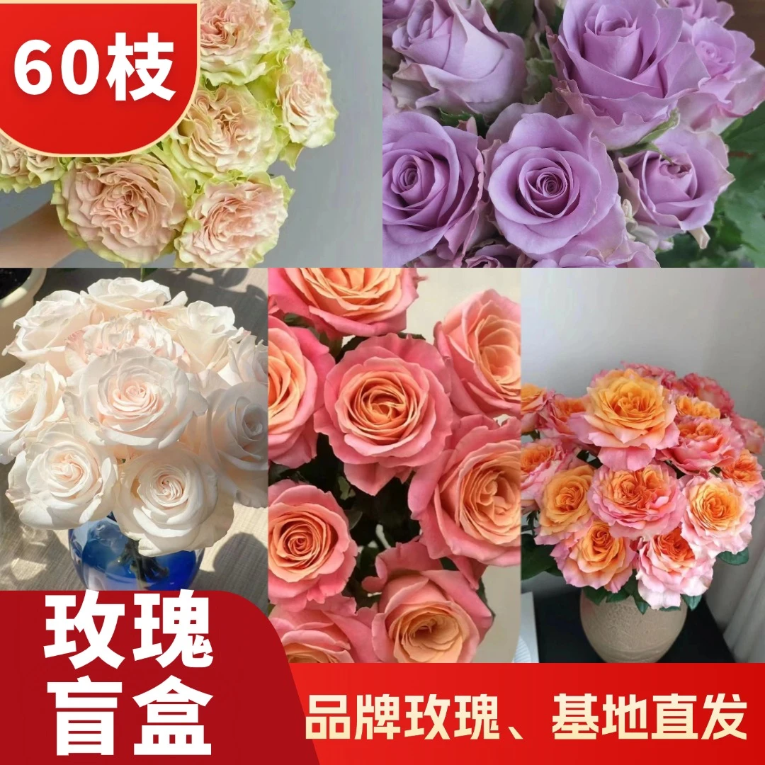玫瑰盲盒60支 不指定品种套餐 云天化品牌玫瑰 顺丰包邮