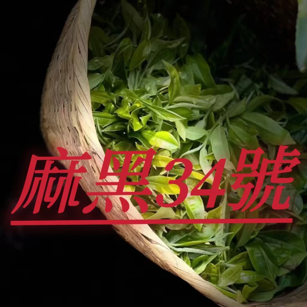 【春】【易武麻黑】古树单株生茶散茶普洱茶