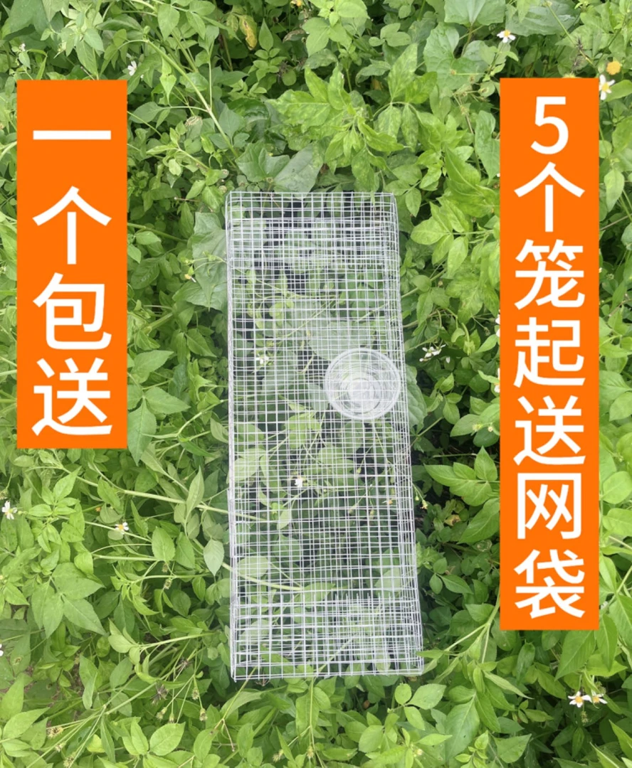 新款加厚双门笼铁丝笼养蛇笼子保护蛇箱长虫笼户外笼中笼