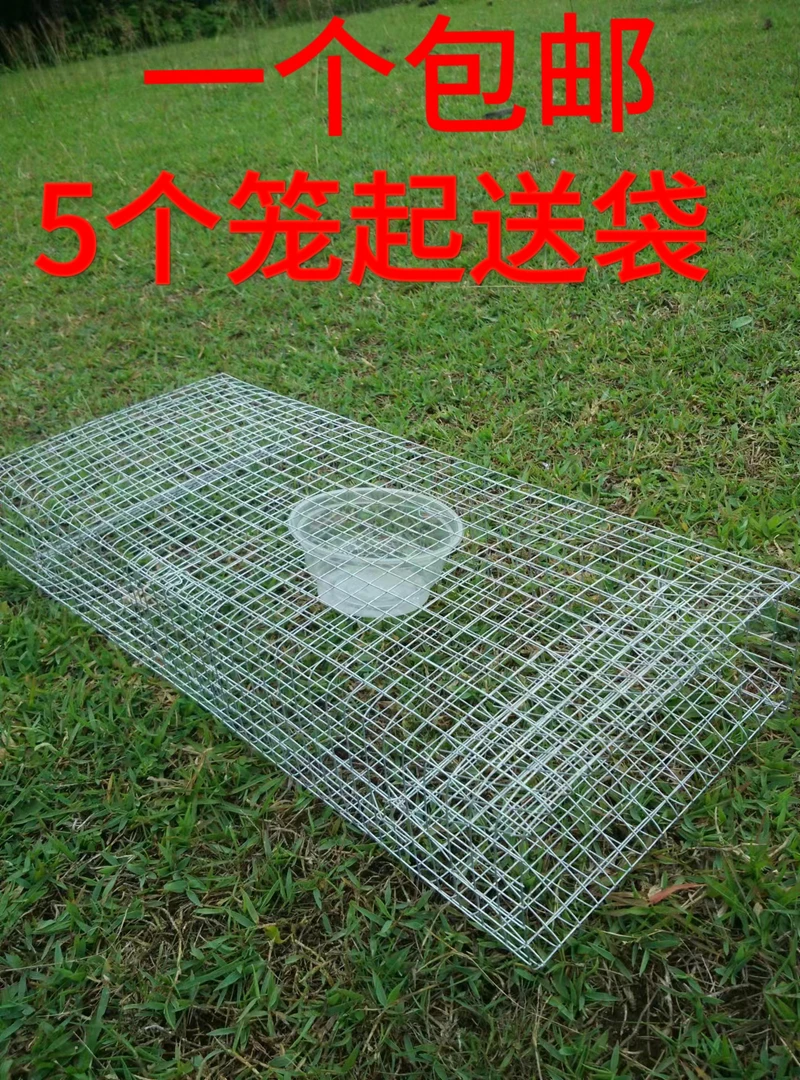 户外蛇笼长虫笼小鸡笼宠物笼大号单双进口捕笼铁丝笼子防锈方便