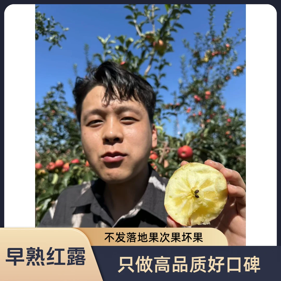 【昭通丑苹果精品红露】冰糖心苹果脆甜多汁水分充足高原苹果
