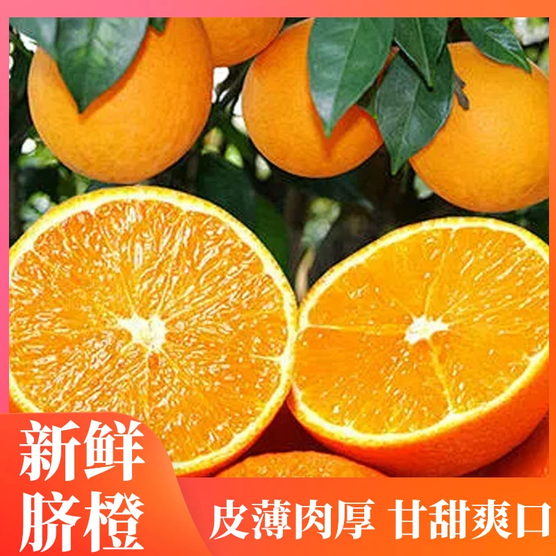湖南永州脐橙新鲜橙子超甜现摘先发10斤装大分量整箱发货香甜多汁