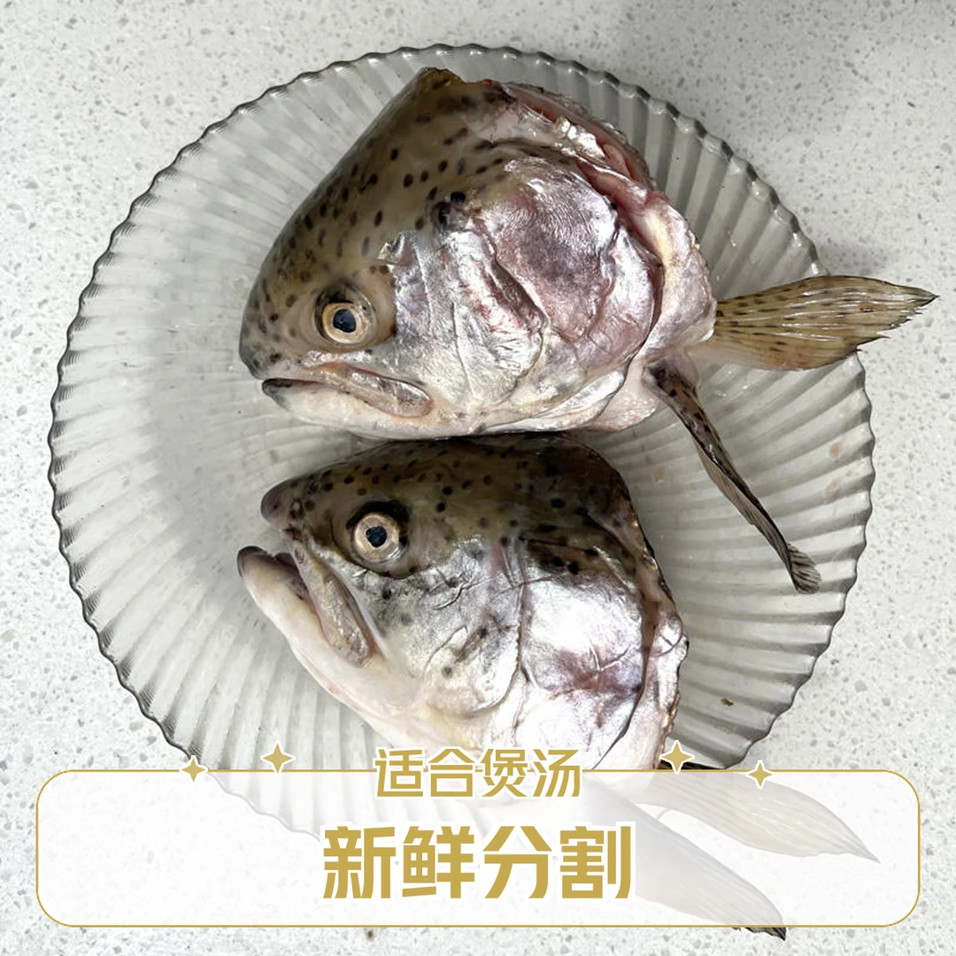 三文鱼头新疆国产虹鳟鱼5个共3斤左右新鲜水产食材煲熬汤冰鲜冷冻