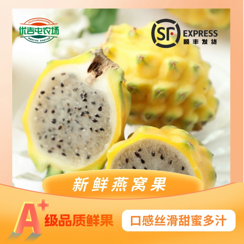 【顺丰包邮】广西燕窝果礼盒高端水果新鲜麒麟果水果火龙果黄皮白心