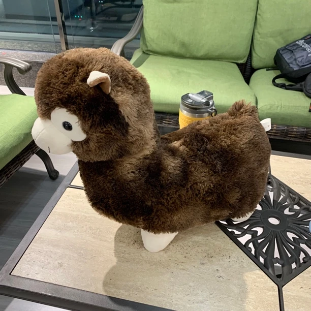 品质好 毛绒玩偶