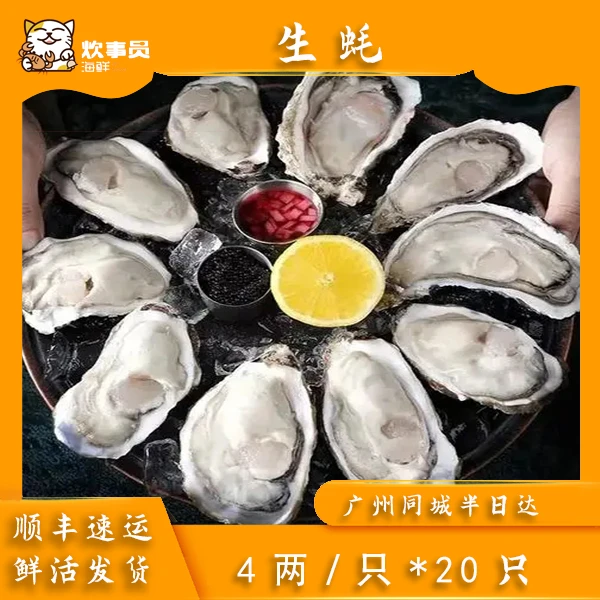 土豪大活发生鲜肉厚6+乳山生蚝15只鲜活包鲜扇贝海鲜码头发货9斤