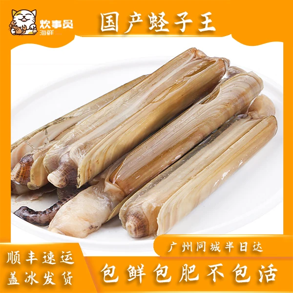 活发国产鲜活蛏子王 掉水8%介意勿拍 包鲜包肥不包活 1.5kg