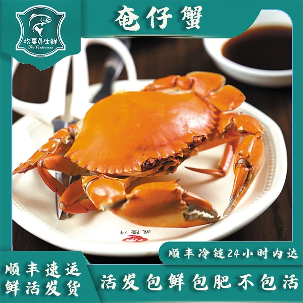 八只野生奄仔蟹 活发2-2.5两/只 新风港发货 包鲜包肥不包活
