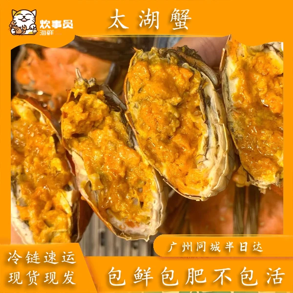 【活蟹】太湖大闸蟹 2.5两母大闸蟹 共八只鲜活发货，黄膏尝鲜