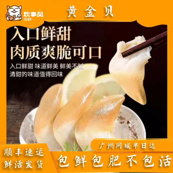 三斤鲜甜黄金贝 现称为准 包鲜不包活 扇贝新风港发货 500g*3