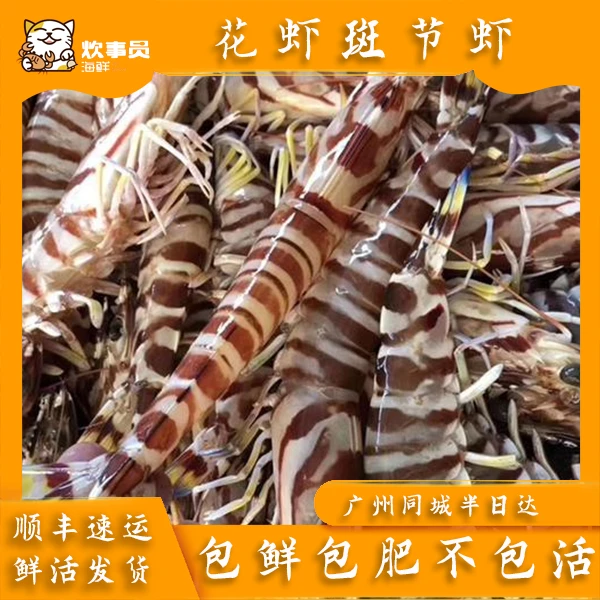 一斤鲜活花虾斑节虾 纯野生有大有小鲜活盖冰发不包活 买一送一