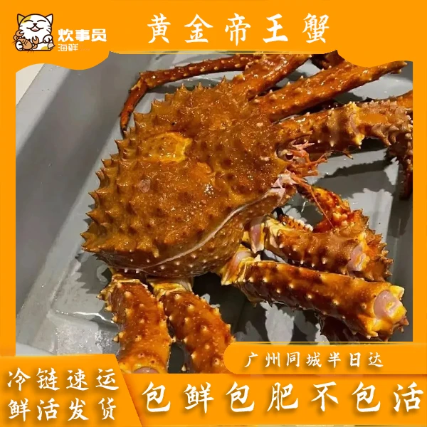 活发4-5斤/只 鲜活金帝王蟹 新风港发货 活发包鲜 鲜活海蟹