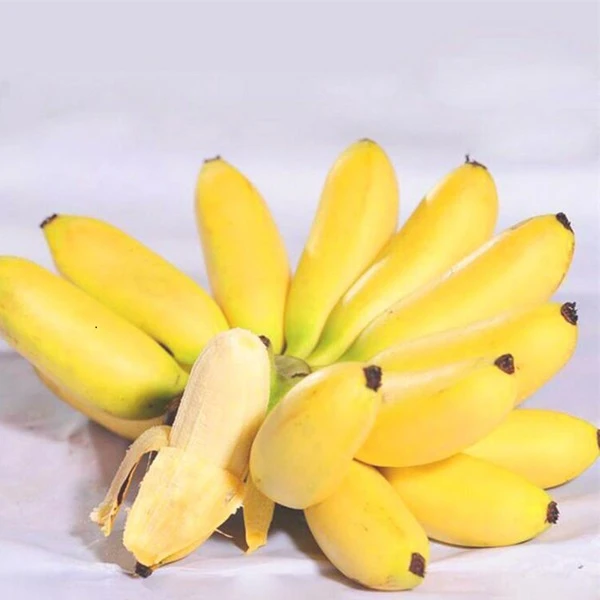 【顺丰包邮上楼】皇帝蕉  1箱  3斤左右（需自行催熟）