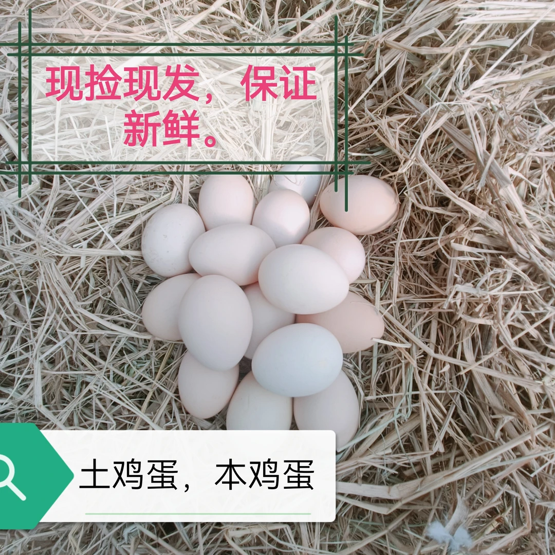 自家散养土鸡蛋 今日捡今日发货 保证新鲜 早餐宝宝辅食30枚