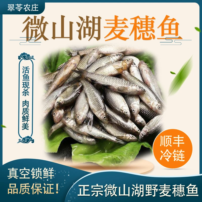 【翠苓农庄】正宗微山湖野生麦穗鱼新鲜捕捞现杀去内脏鳞片每袋400g