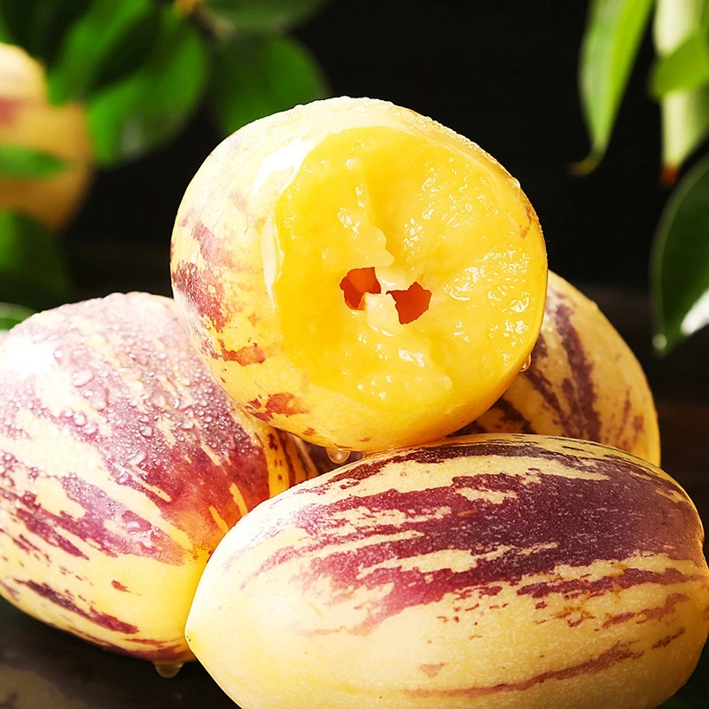 鲜果欢甘肃人参果人参果长果新鲜爆汁产地直发甄选多汁