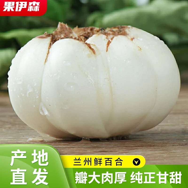 鲜果欢兰州鲜百合 1斤装四头皇/三头皇/二头皇 产地直发可生食
