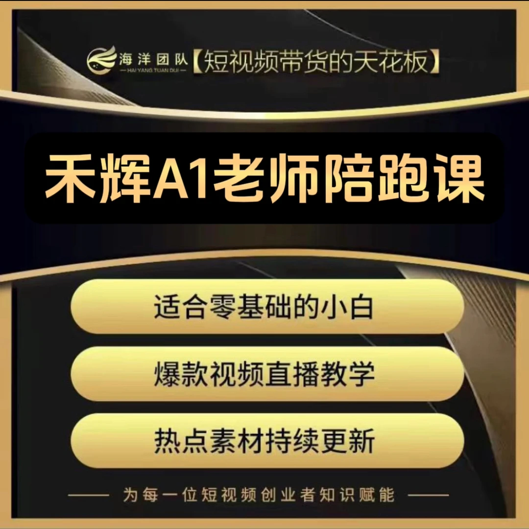 禾辉A1老师私教陪跑课（报名通道N）