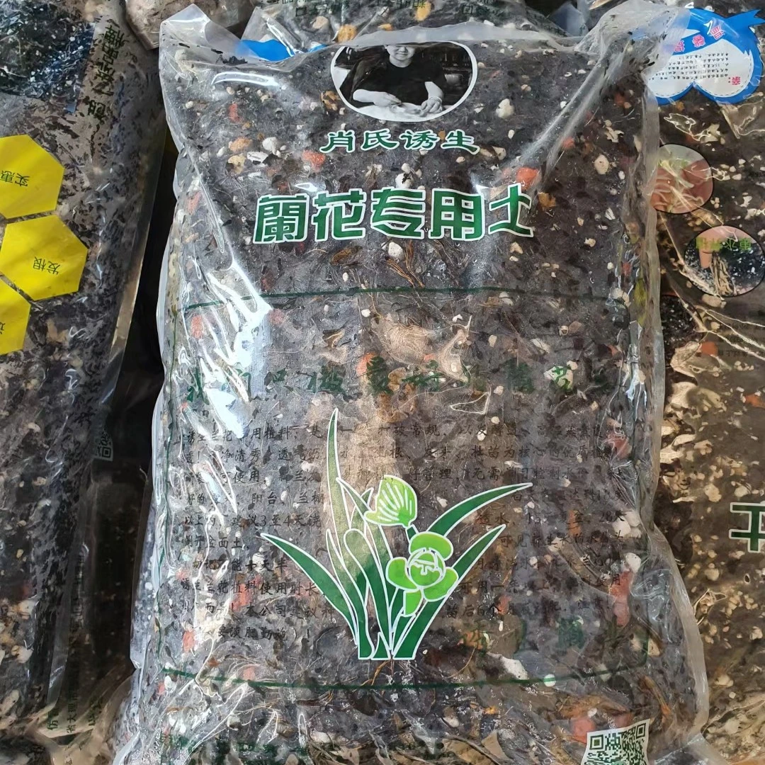 大理云龙小飞飞精品植料(云南省内链接)