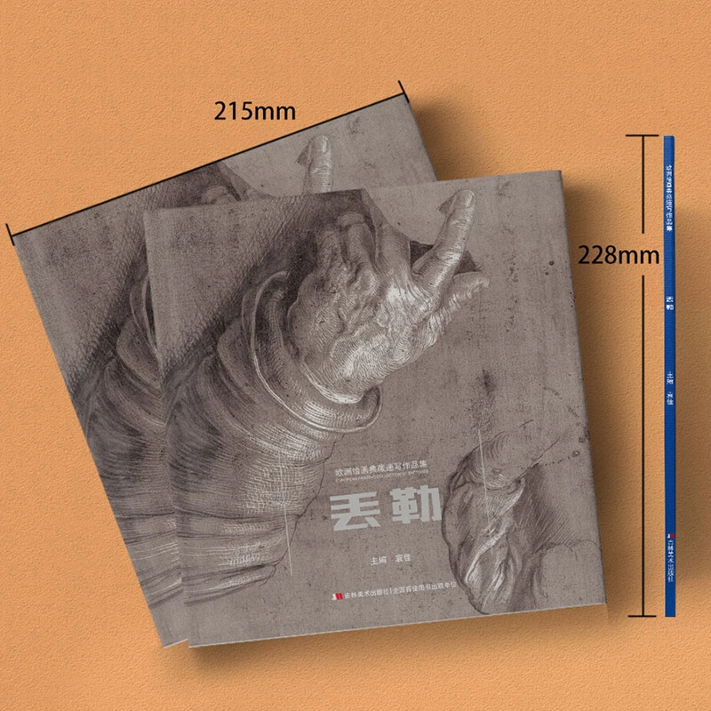 欧洲绘画典藏速写作品集 丢勒