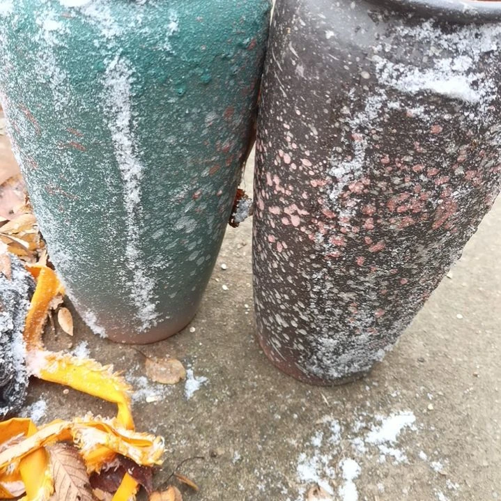 【闪购商品】紫砂花盆12/28
