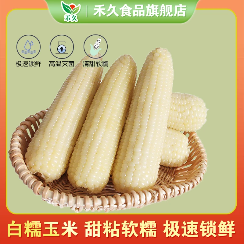 【禾久】大白糯玉米 甜粘软糯 营养丰富  均重300g*8根