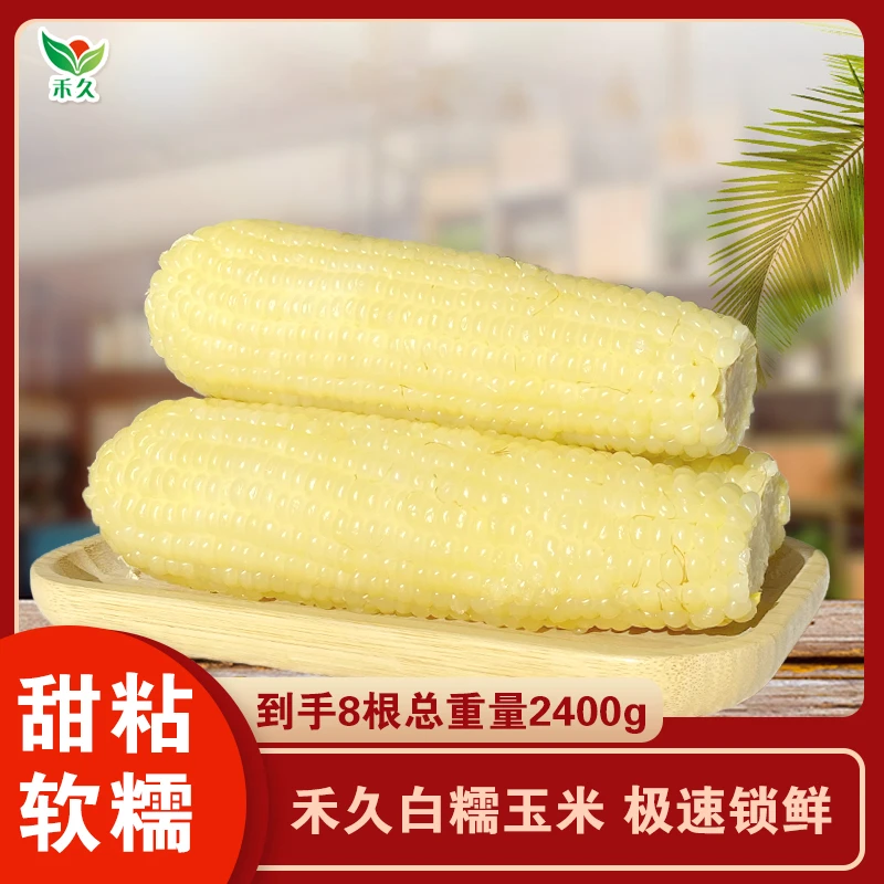 【禾久】大白糯玉米 均重300g*8根 交个朋友专属