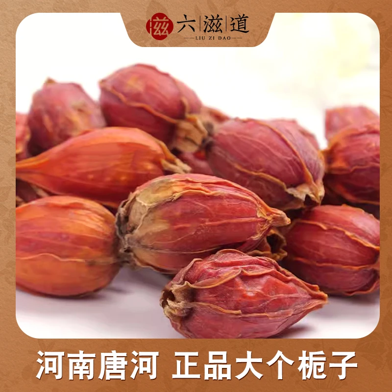 唐河栀子大颗净重250克优选颗粒食用