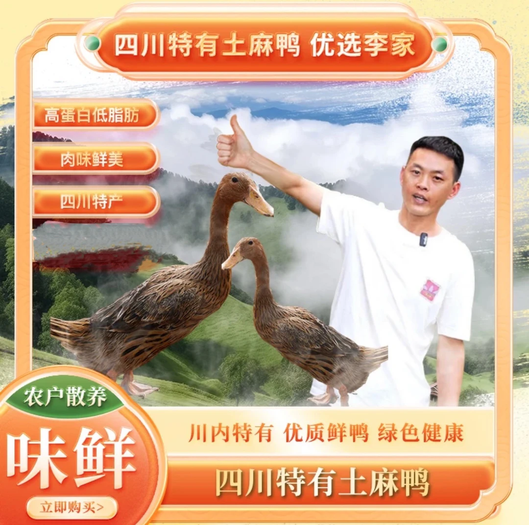 散养老大麻鸭，适合炖汤