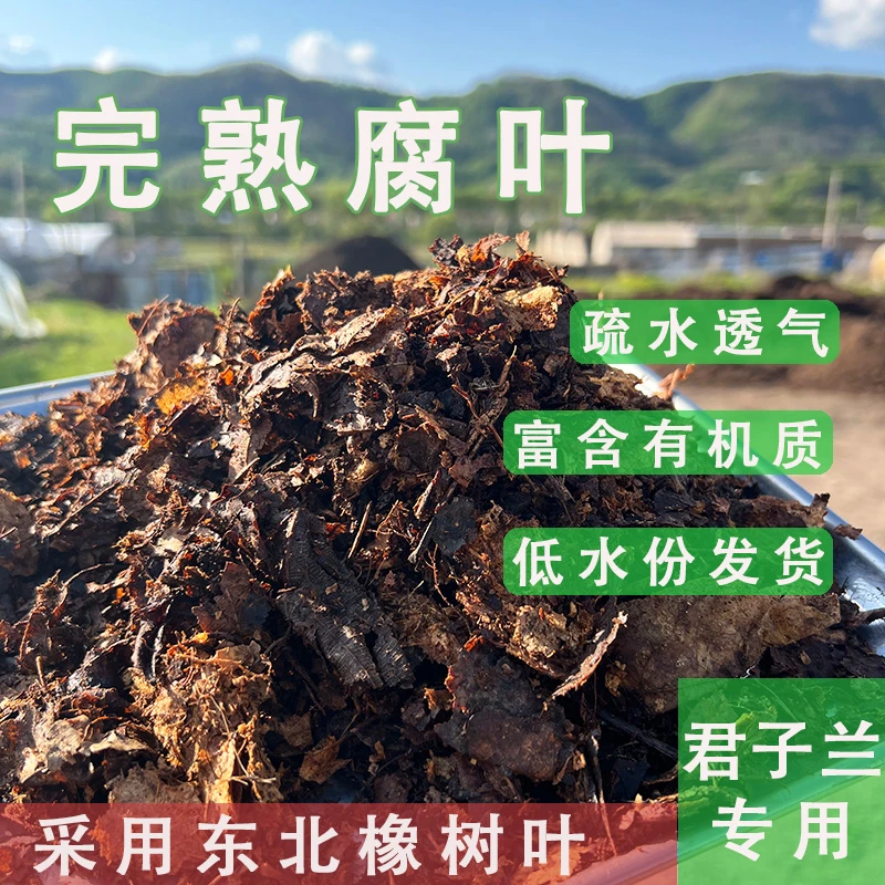 君子兰专用腐叶营养土天然发酵腐熟橡树叶柞树叶松针有机兰花专用