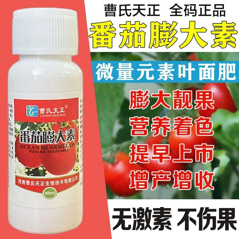 曹氏天正番茄膨大素增产着色催熟西红柿膨大保花保果不空果不裂果