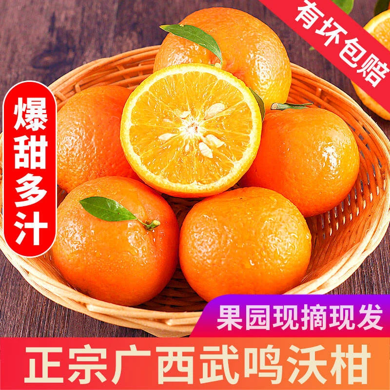 正宗广西沃柑优质皮薄清甜多汁甜蜜健康爽口甘甜 中果5斤（新人卷）