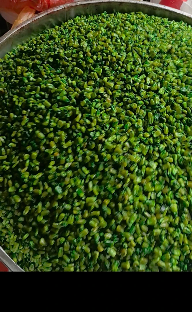 打窝挂钩诱钓两用复合果酸玉米（干）野钓