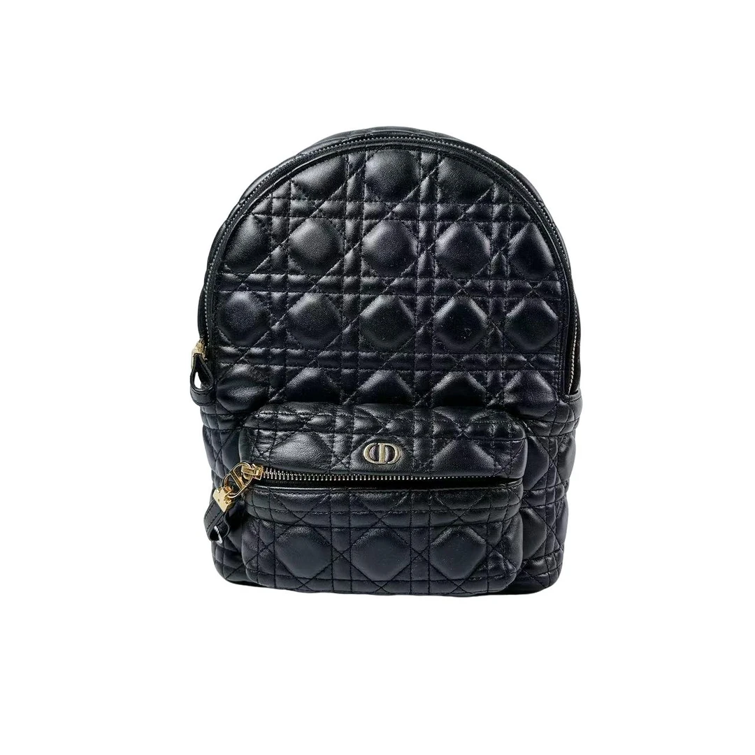 95新 DIOR/迪奥 安洁利田哥双肩包/YH110906
